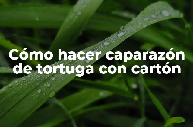 Cómo Hacer Caparazón de Tortuga con Cartón