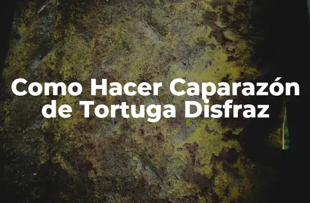 Como Hacer Caparazón de Tortuga Disfraz