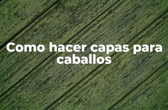 Como Hacer Capas para Caballos 2 Como hacer capas para caballos