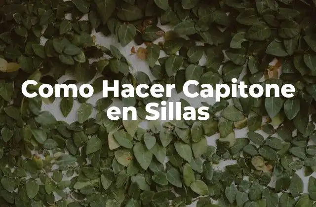¿Qué es el Capitone en Sillas y Para Qué Sirve?