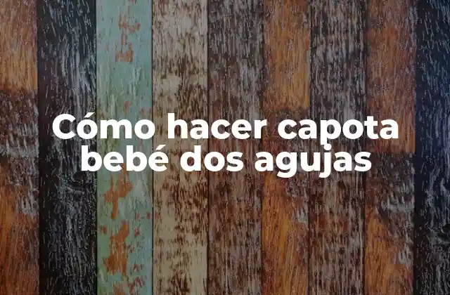 Cómo Hacer Capota Bebé Dos Agujas