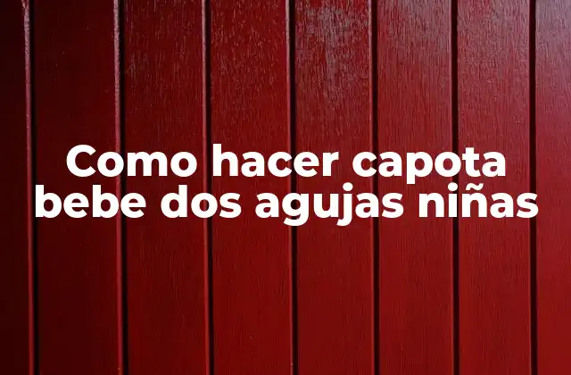 Como Hacer Capota Bebe Dos Agujas Niñas