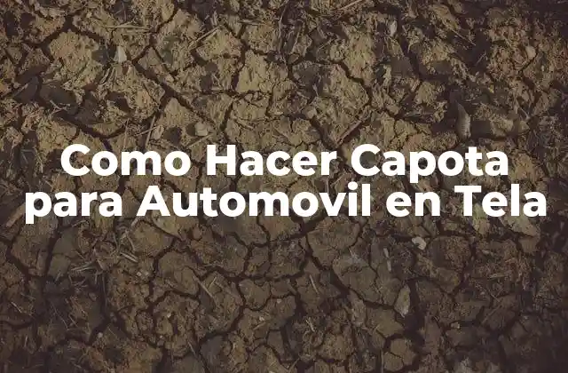 Como Hacer Capota para Automovil en Tela
