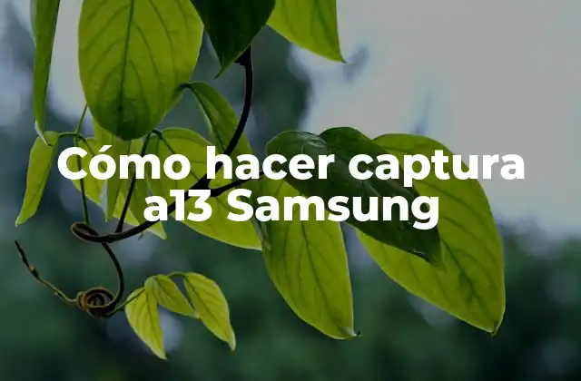 Cómo Hacer Captura A13 Samsung