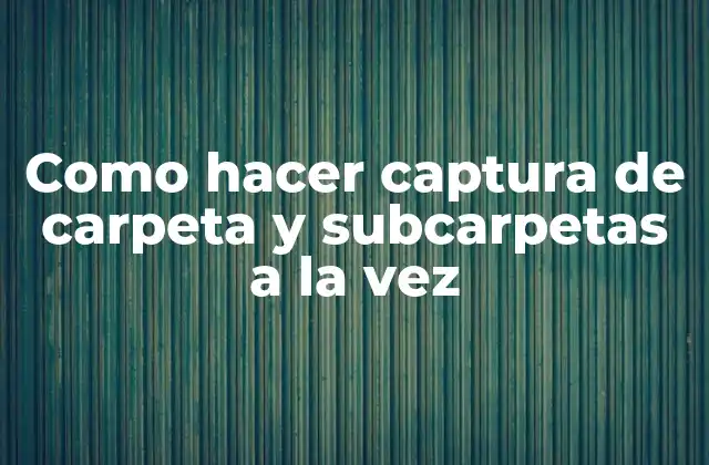 Como Hacer Captura de Carpeta y Subcarpetas a la Vez