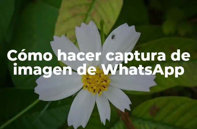 Cómo Hacer Captura de Imagen de Whatsapp