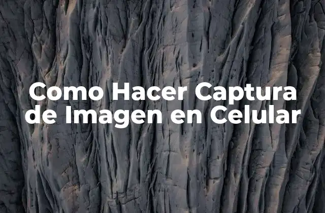 Como Hacer Captura de Imagen en Celular