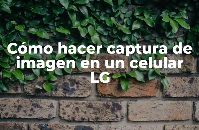 Cómo Hacer Captura de Imagen en un Celular Lg