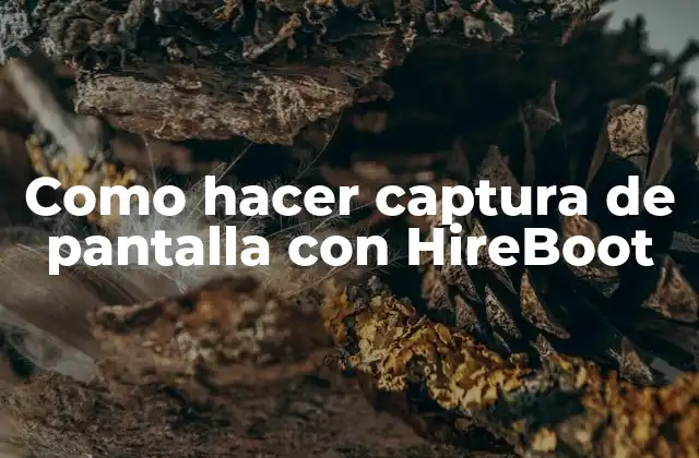 Como Hacer Captura de Pantalla con Hireboot