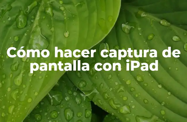 Cómo Hacer Captura de Pantalla con Ipad