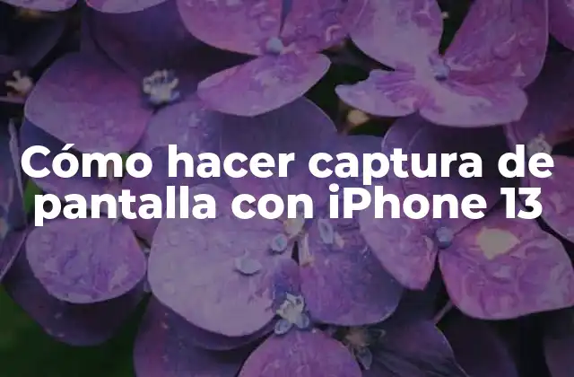 Cómo Hacer Captura de Pantalla con Iphone 13