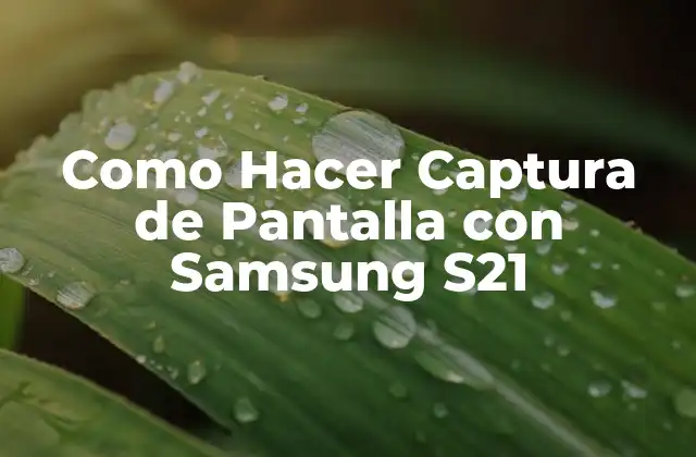 Como Hacer Captura de Pantalla con Samsung S21