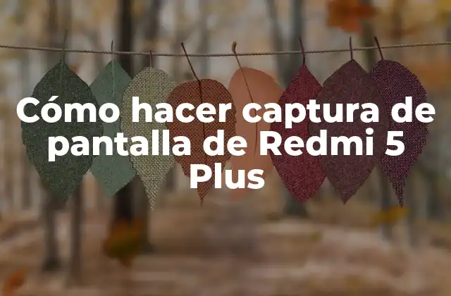 Cómo Hacer Captura de Pantalla de Redmi 5 Plus 2 Cómo hacer captura de pantalla de Redmi 5 Plus