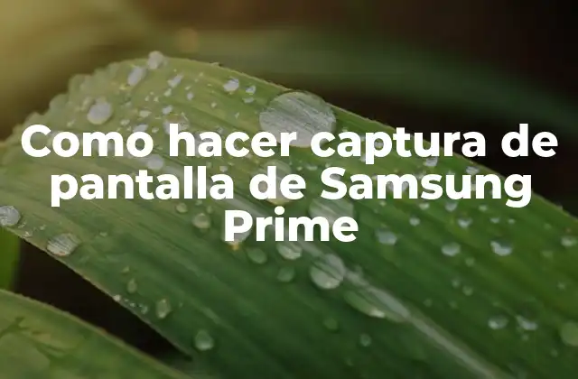 Como Hacer Captura de Pantalla de Samsung Prime 2 Qué es una captura de pantalla y para qué sirve