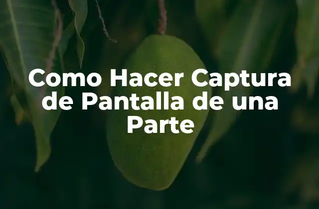 Como Hacer Captura de Pantalla de una Parte 2 Qué es una Captura de Pantalla y para Qué Sirve