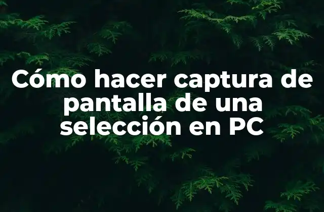 Cómo Hacer Captura de Pantalla de una Selección en Pc
