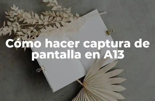 Cómo Hacer Captura de Pantalla en A13