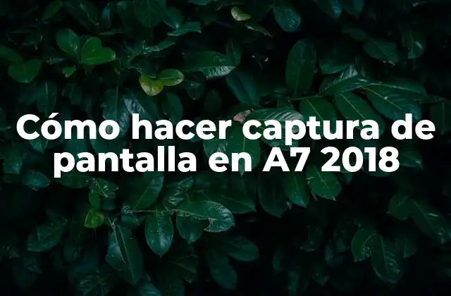 Cómo Hacer Captura de Pantalla en A7 2018
