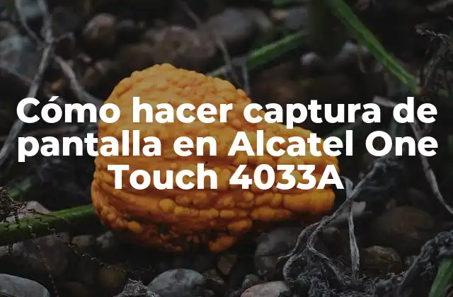 Cómo Hacer Captura de Pantalla en Alcatel One Touch 4033a