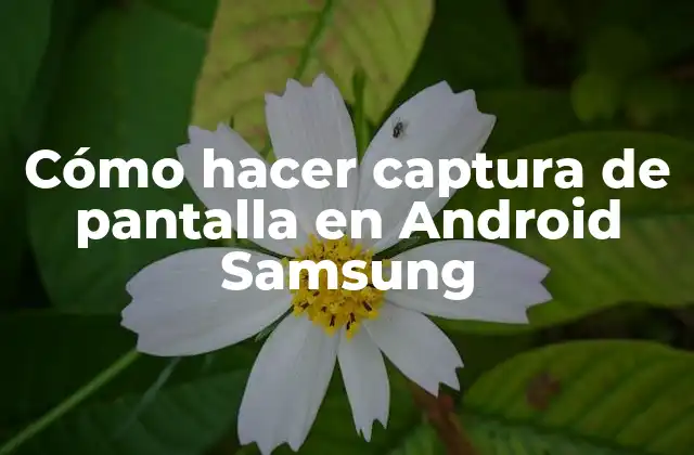 Cómo Hacer Captura de Pantalla en Android Samsung