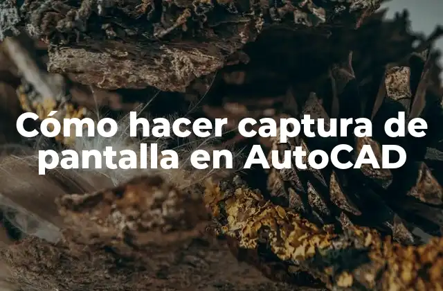 Cómo Hacer Captura de Pantalla en Autocad