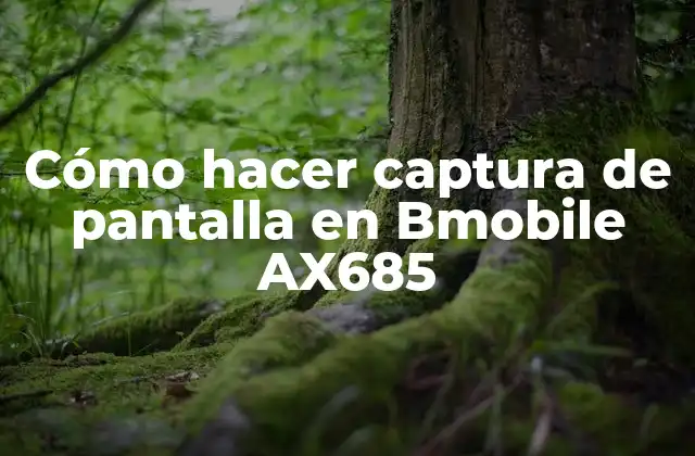 Cómo Hacer Captura de Pantalla en Bmobile Ax685