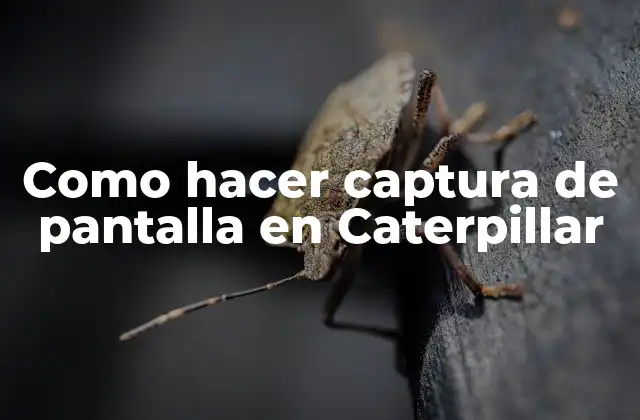 Como Hacer Captura de Pantalla en Caterpillar