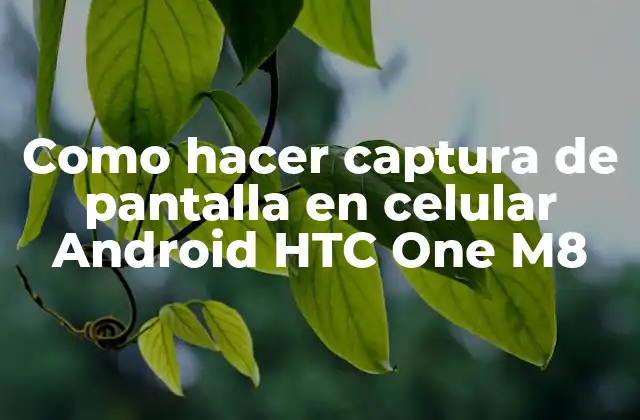 Como Hacer Captura de Pantalla en Celular Android Htc One M8 2 Captura de pantalla en Android: ¿Qué es y para qué sirve?