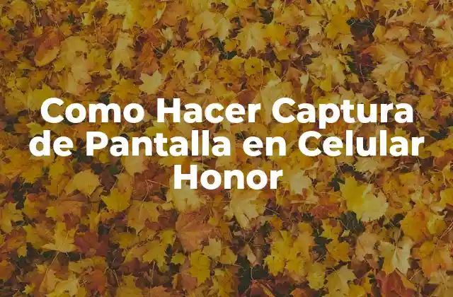 Como Hacer Captura de Pantalla en Celular Honor 2 ¿Qué es una Captura de Pantalla en un Celular Honor?