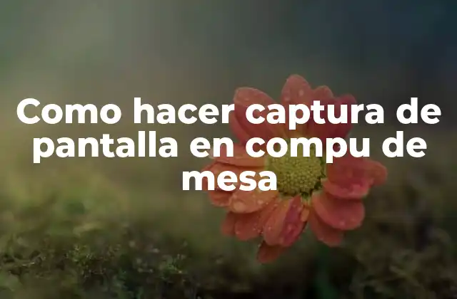 Como Hacer Captura de Pantalla en Compu de Mesa