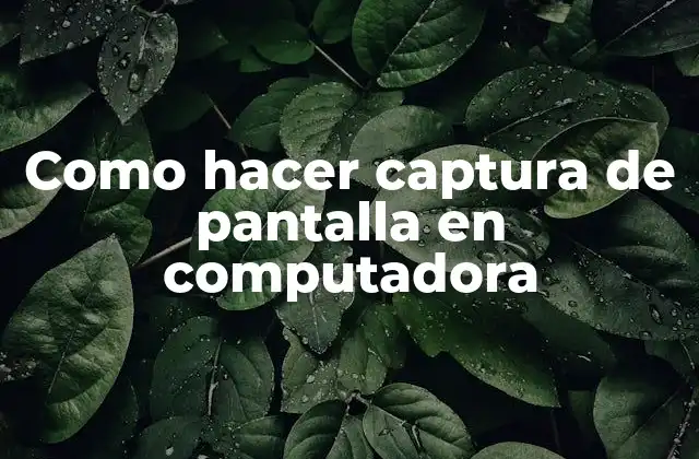 Como Hacer Captura de Pantalla en Computadora 2 Captura de pantalla en computadora