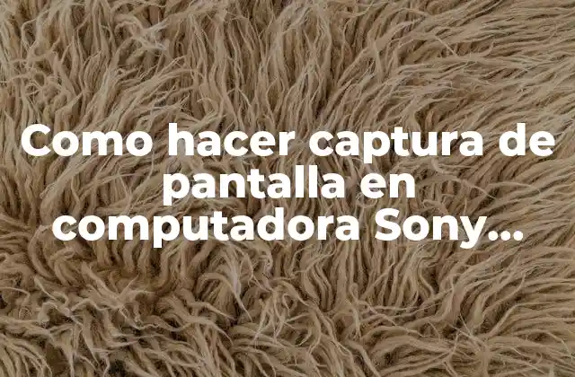 Como Hacer Captura de Pantalla en Computadora Sony Vaio