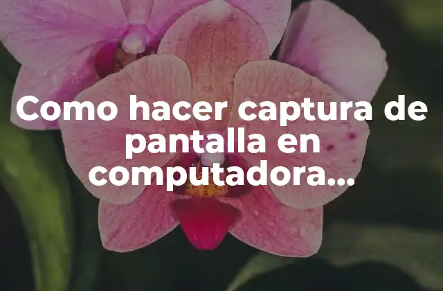 Como Hacer Captura de Pantalla en Computadora Windows 2 Qué es una captura de pantalla y para qué sirve