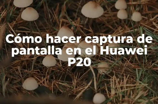 Cómo Hacer Captura de Pantalla en el Huawei P20
