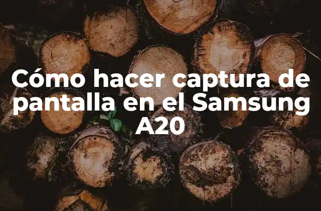 Cómo Hacer Captura de Pantalla en el Samsung A20