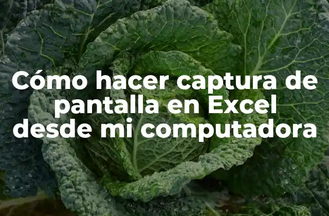 Cómo Hacer Captura de Pantalla en Excel desde Mi Computadora