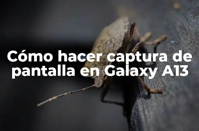 Cómo Hacer Captura de Pantalla en Galaxy A13