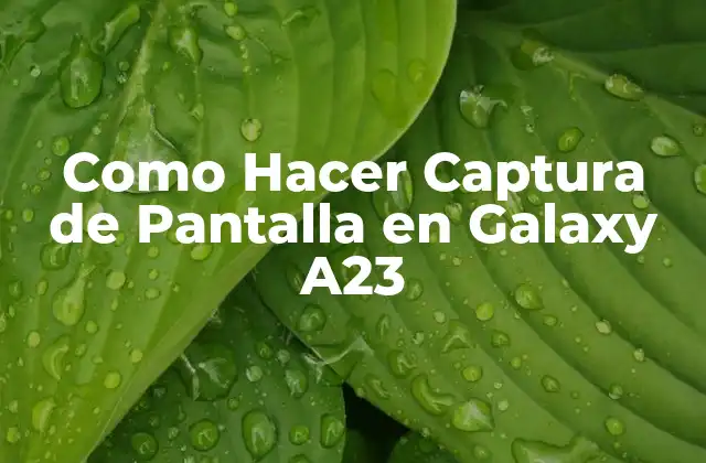 Como Hacer Captura de Pantalla en Galaxy A23
