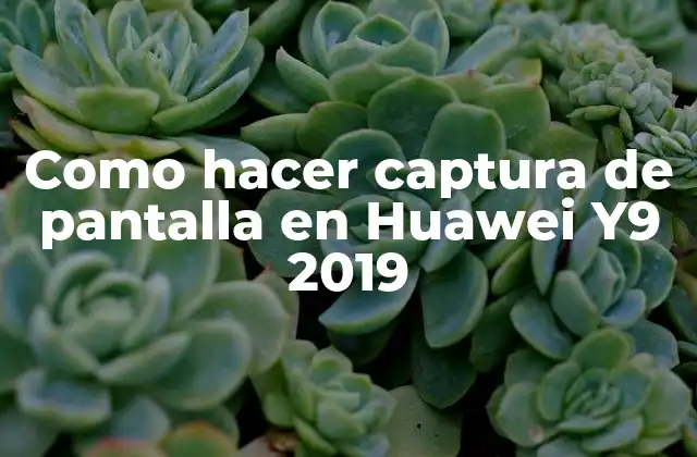 Como Hacer Captura de Pantalla en Huawei Y9 2019