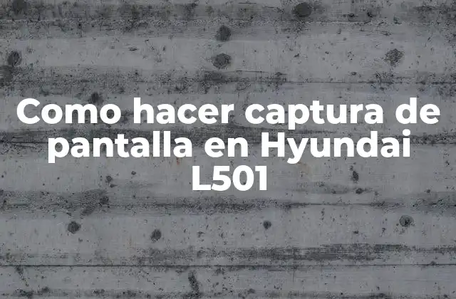Como Hacer Captura de Pantalla en Hyundai L501