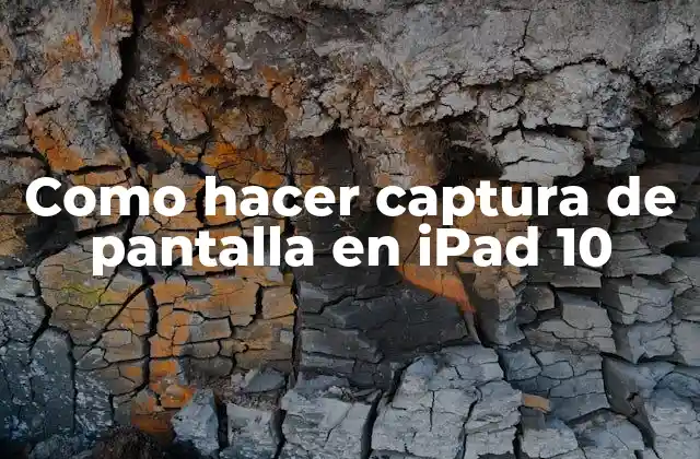 Como Hacer Captura de Pantalla en Ipad 10