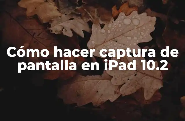 Cómo Hacer Captura de Pantalla en Ipad 10.2