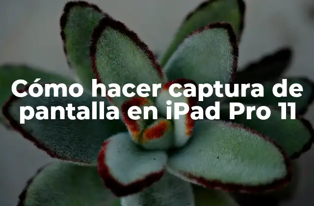 Cómo Hacer Captura de Pantalla en Ipad Pro 11