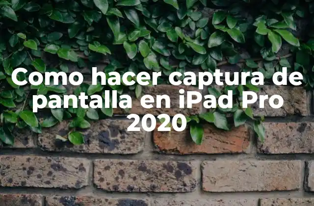 Como Hacer Captura de Pantalla en Ipad Pro 2020