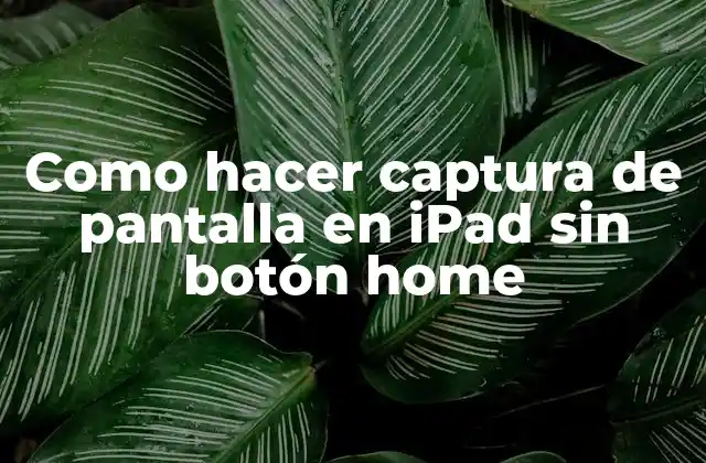 Como Hacer Captura de Pantalla en Ipad sin Botón Home