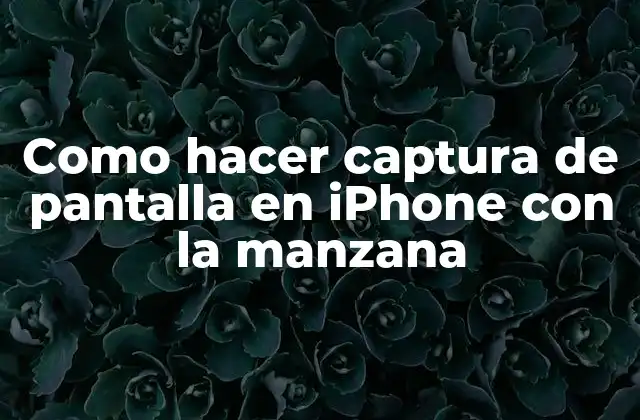 Como Hacer Captura de Pantalla en Iphone con la Manzana