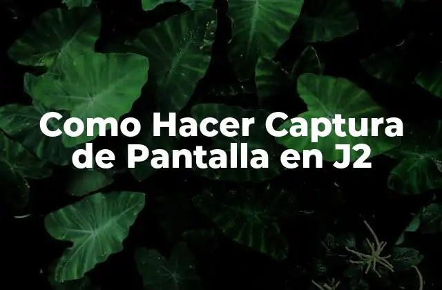 Como Hacer Captura de Pantalla en J2