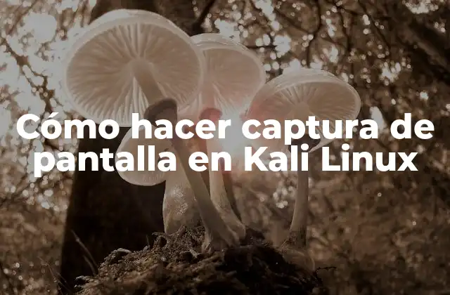 Cómo Hacer Captura de Pantalla en Kali Linux
