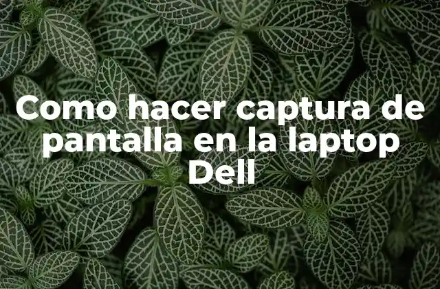 Como Hacer Captura de Pantalla en la Laptop Dell