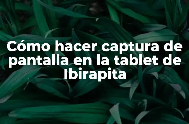 Cómo Hacer Captura de Pantalla en la Tablet de Ibirapita